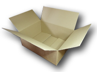 Carton vide