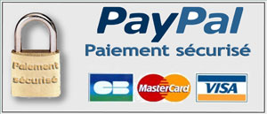 Logo Paiement