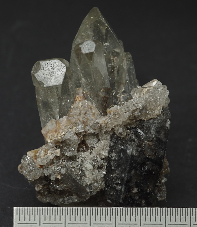 MA773_v6